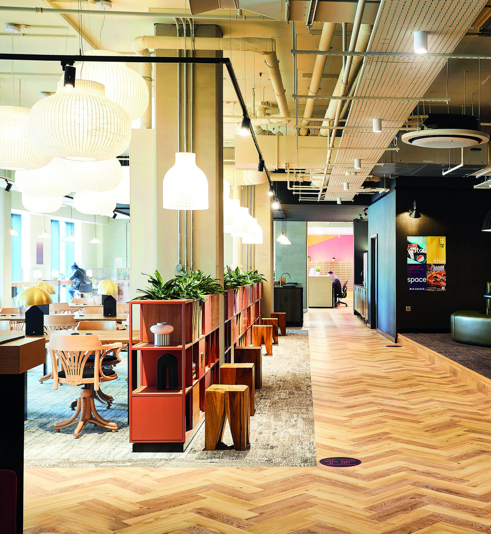 Modern office space with wooden flooring, pendant lights, and decorative shelves with plants. There are wooden chairs, tables, and a glass wall on the left, and colorful wall art in the background.